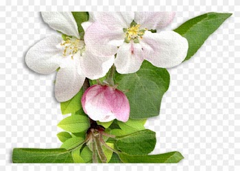 Chb ** Letters &amp; Numbers Pinterest Flower Letters, - Abc Alfabetos Con Alfabetos Florales Alphabet Letters