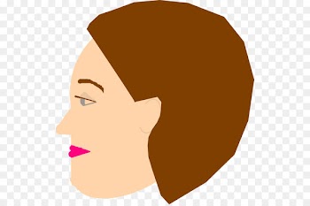 Cheek Clip art Illustration Forehead Eyebrow - suzanne cartoon 