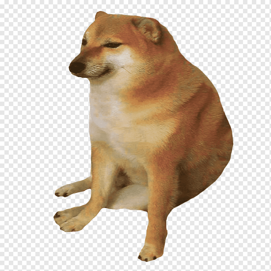 cheems dog, png