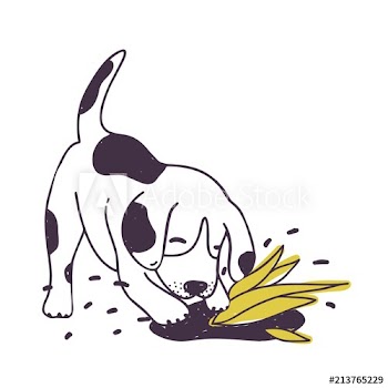 Cheerful dog digging ground near cultivated plant