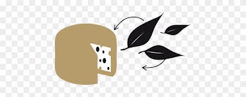 Cheese As It Should Be - Cheese As It Should Be