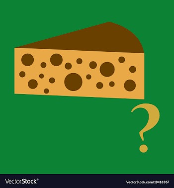 Cheese icon flat symbol for web logo vector image