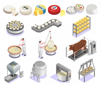 Cheese production isometric set with factory equipment and large assortment of finished products isolated Free Vector