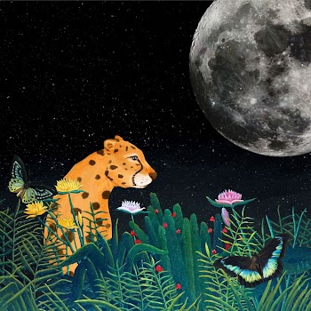 Cheetah background, dark moon & | Free Photo Illustration - rawpixel