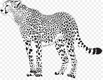 Cheetah Leopard Clip art - Cheetah Silhouette Cliparts 