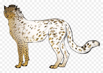 Cheetah Snow leopard Whiskers Cat - cheetah 