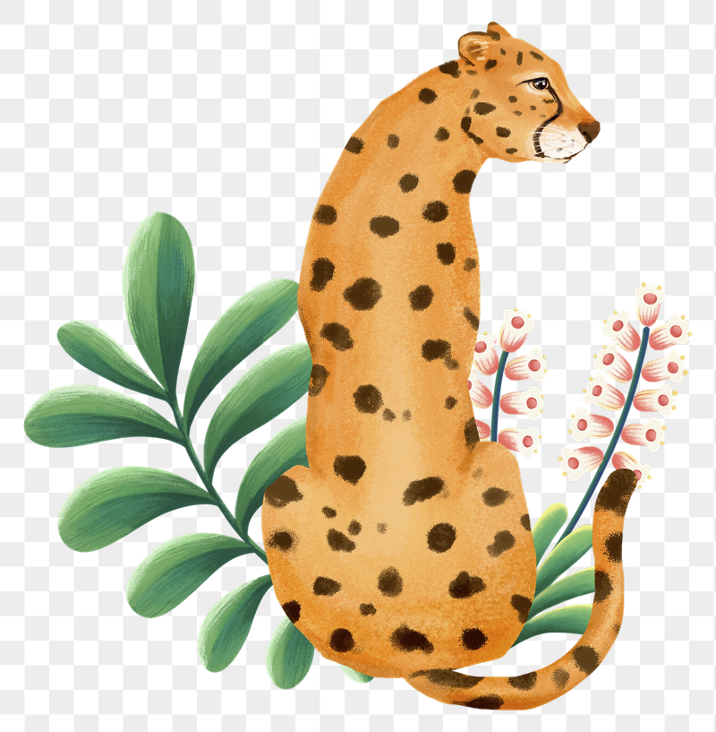 Cheetah wildlife png sticker, cute | Free PNG Illustration - rawpixel