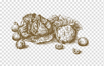 Chef Drawing Cooking Illustration, Hand-painted vegetable transparent background PNG clipart