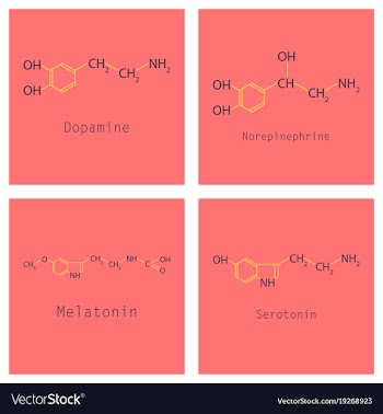 Chemical formulas of food and cosmetic vector image