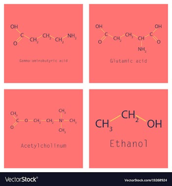 Chemical formulas of food and cosmetic vector image