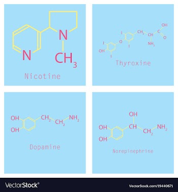 Chemical formulas of food and cosmetic vector image