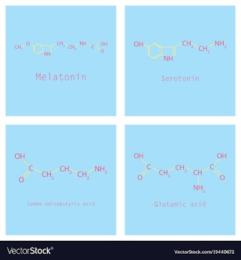 Chemical formulas of food and cosmetic vector image