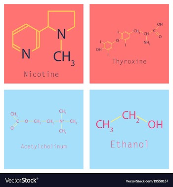 Chemical formulas of food and cosmetic vector image