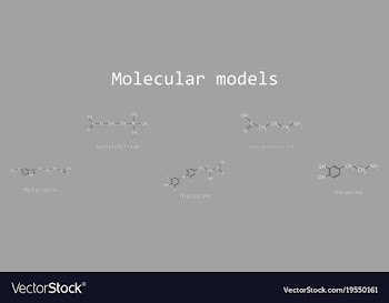 Chemical formulas of food and cosmetic vector image