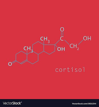 Chemical molecular formula of the hormone vector image