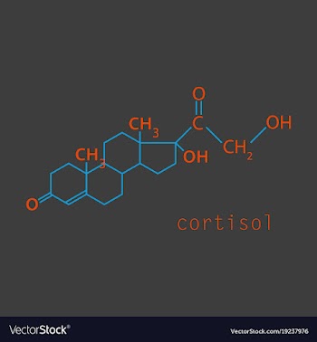Chemical molecular formula of the hormone vector image
