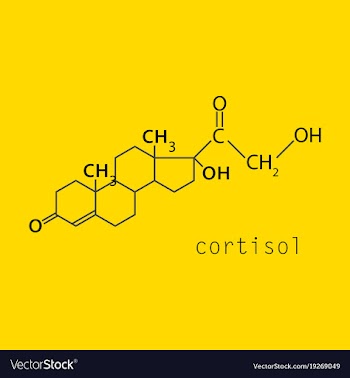 Chemical molecular formula of the hormone vector image