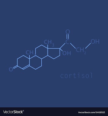 Chemical molecular formula of the hormone vector image
