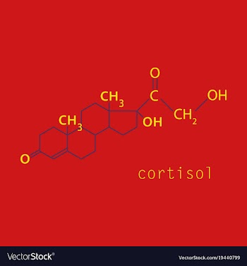 Chemical molecular formula of the hormone vector image