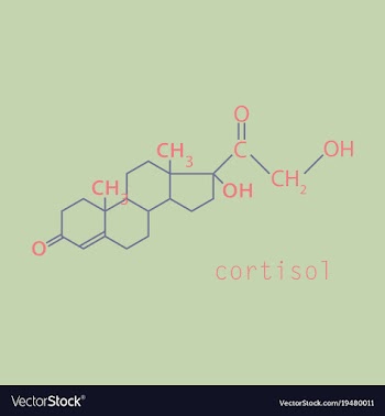Chemical molecular formula of the hormone vector image