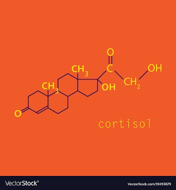Chemical molecular formula of the hormone vector image