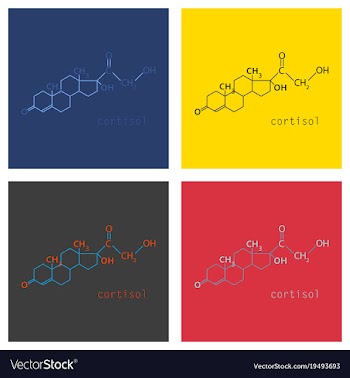 Chemical molecular formula of the hormone vector image