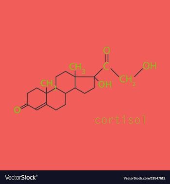 Chemical molecular formula of the hormone vector image