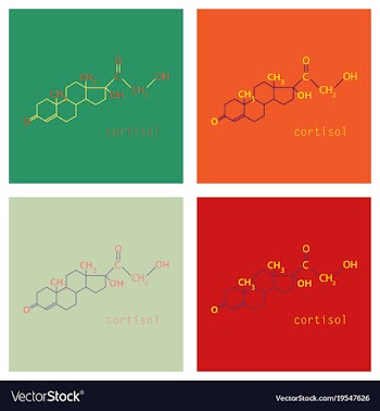 Chemical molecular formula of the hormone vector image