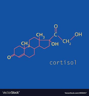 Chemical molecular formula of the hormone vector image