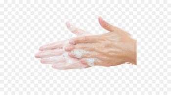 Chemistry Hard water Experiment Salt - Hand wash hands 