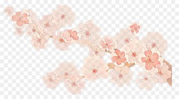 Cherry blossom