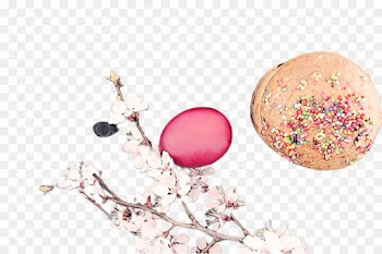 Cherry blossom