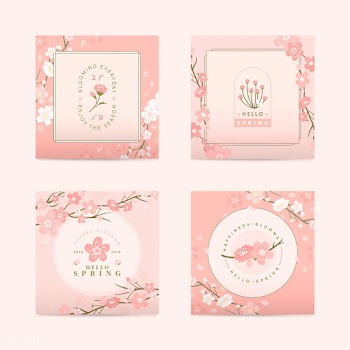 Cherry blossom background collection | Free stock vector - 565989