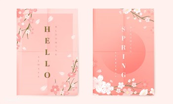 Cherry blossom background collection | Free stock vector - 565991