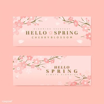 Cherry blossom background collection | Free stock vector - 566001