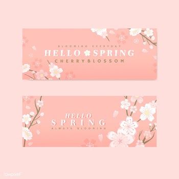 Cherry blossom background collection | Free stock vector - 566010