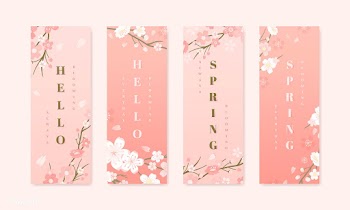 Cherry blossom background collections | Free stock vector - 565993