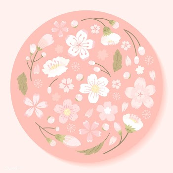 Cherry blossom background illustration | Free stock vector - 565985