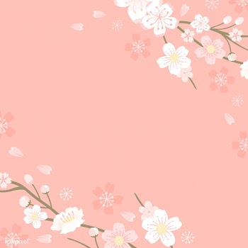 Cherry blossom background illustration | Free stock vector - 565992
