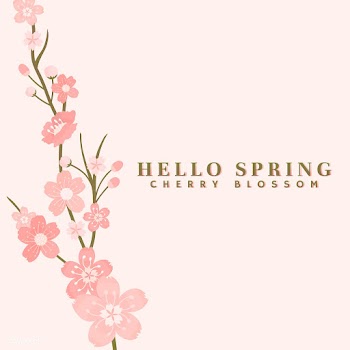 Cherry blossom background illustration | Free stock vector - 566000
