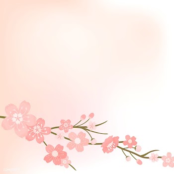 Cherry blossom background illustration | Free stock vector - 566011