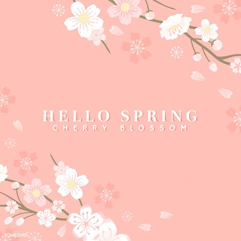 Cherry blossom background illustration | Free stock vector - 566022