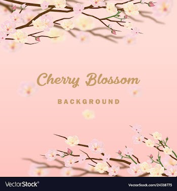 Cherry blossom background invitation vector image