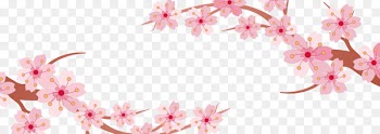 Cherry blossom Banner - Cherry blossoms 