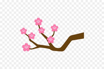 Cherry blossom Branch Illustration Plants Clip art -  