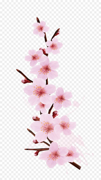 Cherry blossom Branch Tree - Smudge splash cherry design 