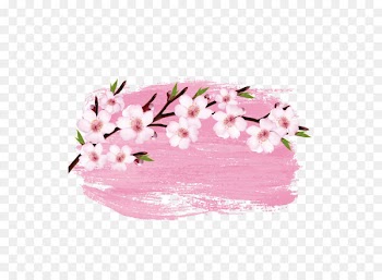 Cherry blossom Branch - Vector Watercolor Japanese cherry blossoms 