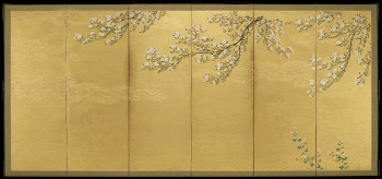 cherry blossom branches descending from top | Free Photo - rawpixel