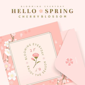 Cherry blossom card illustrations | Free stock vector - 565986