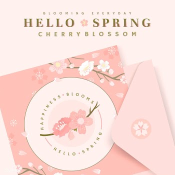 Cherry blossom card illustrations | Free stock vector - 566005